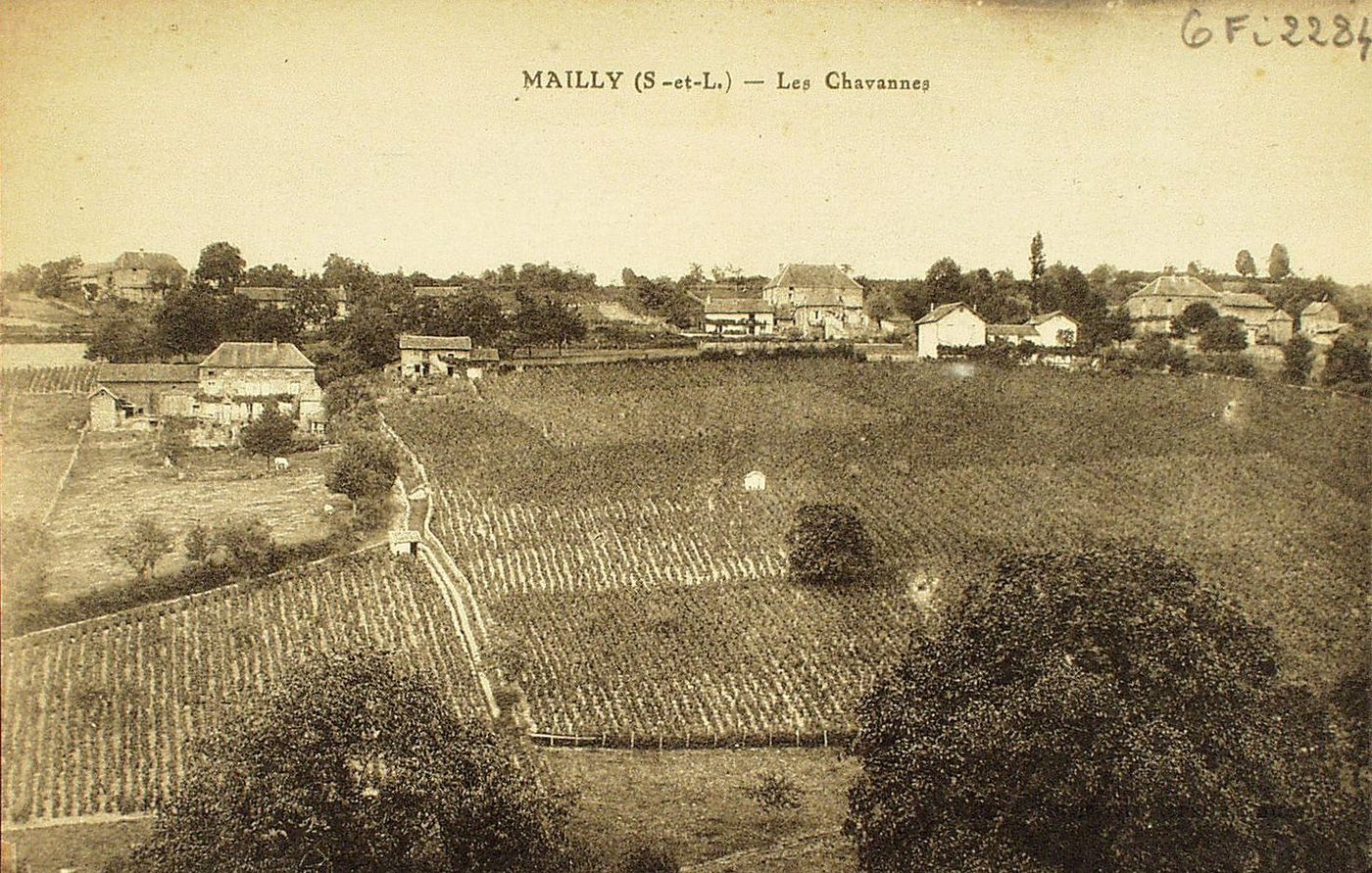 Mailly. Les Chavannes.