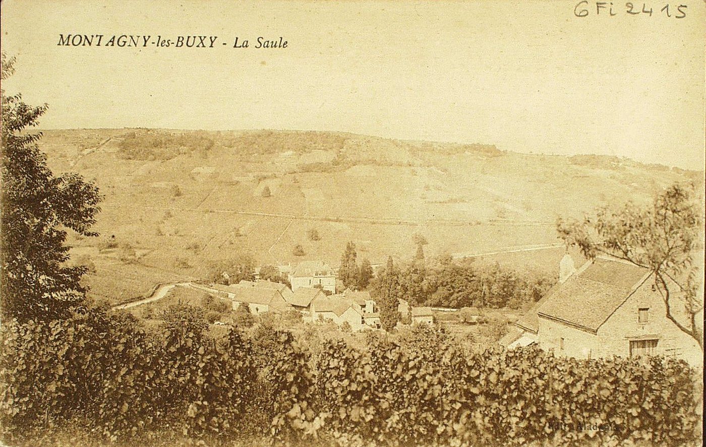 Montagny-lès-Buxy. La Saule.