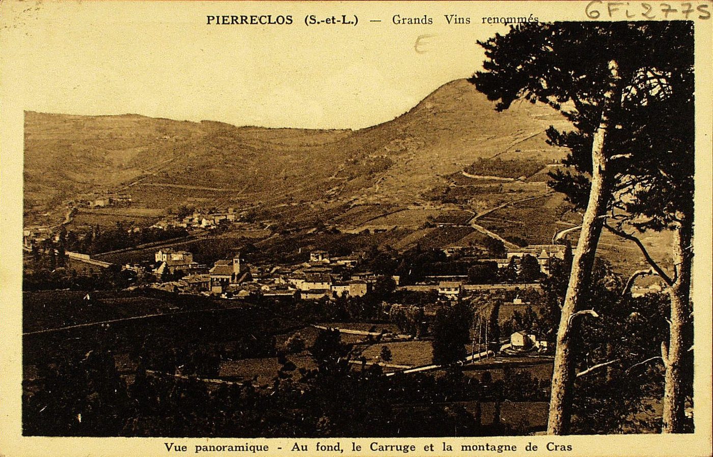Pierreclos. Grands vins renommés. Vue panoramique. Au fond, le Carruge et la montagne de Cras.