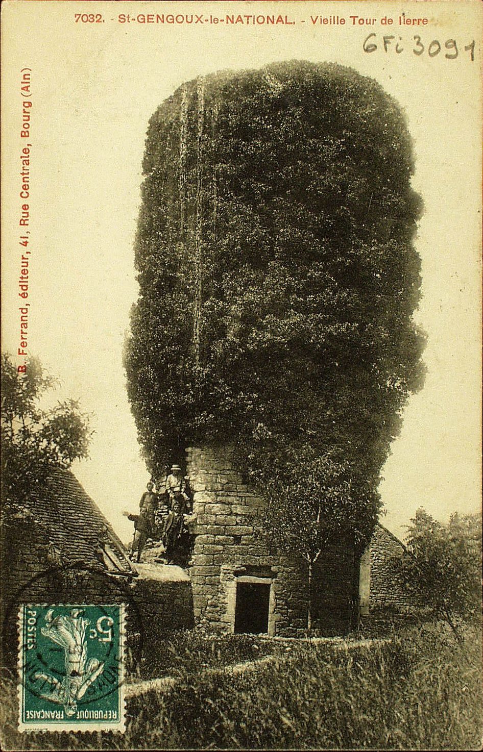 Saint-Gengoux-le-National. Vieille tour de lierre