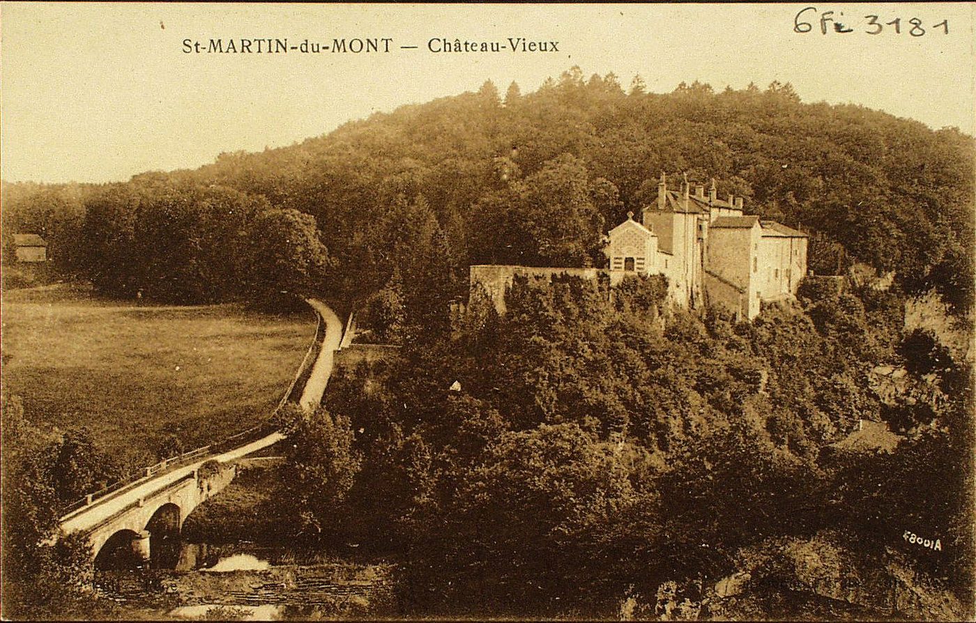 Saint-Martin-du-Mont. Château-Vieux.