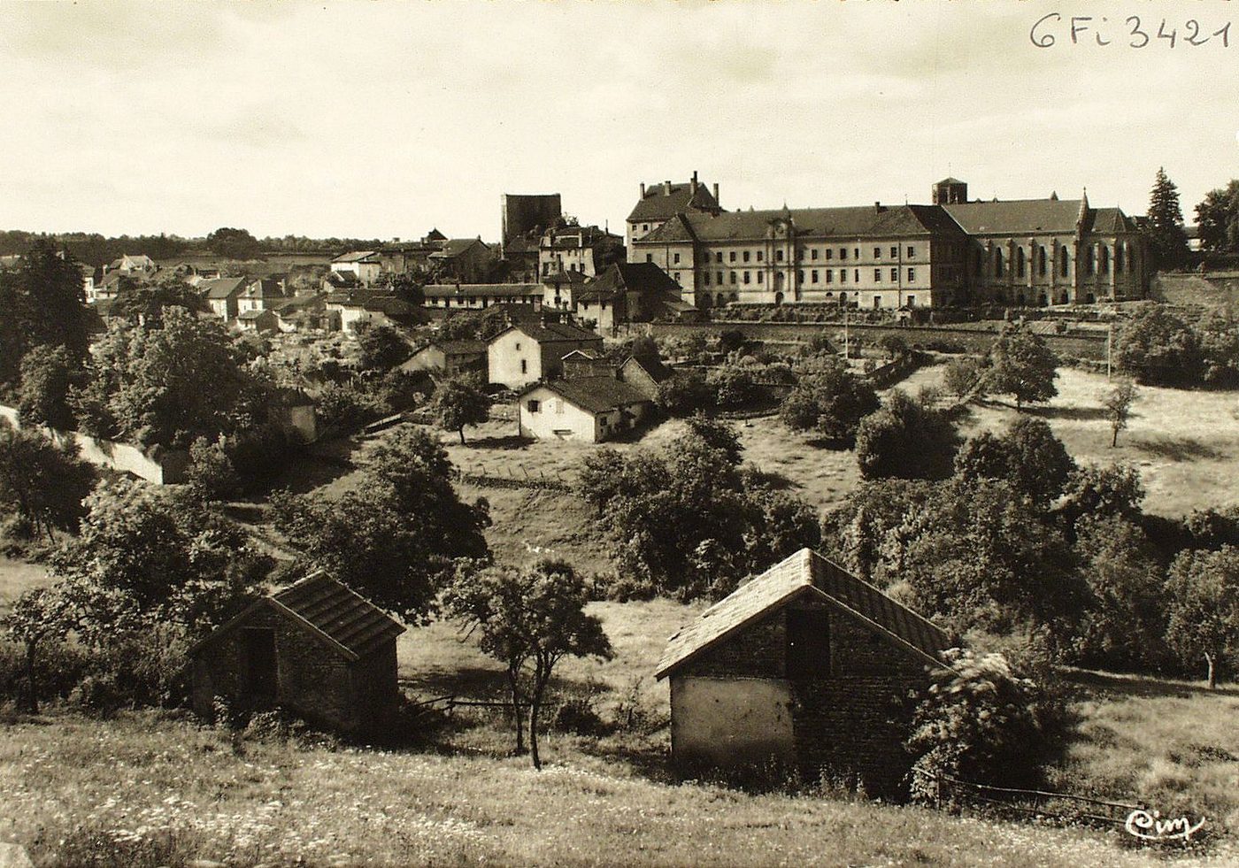 Semur-en-Brionnais. Vue générale.