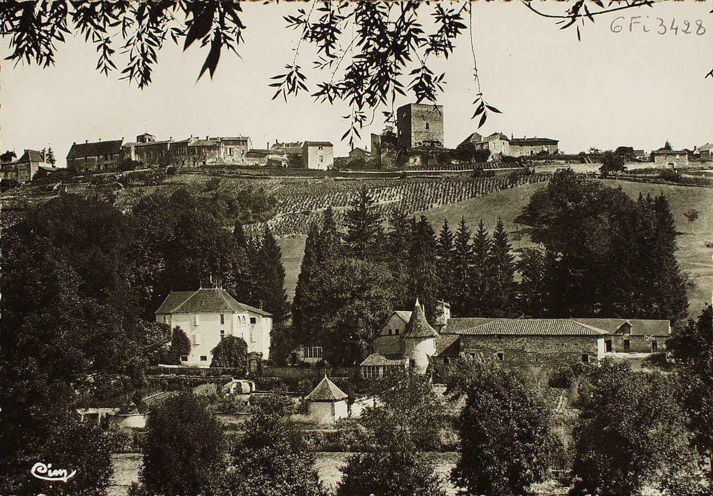 Semur-en-Brionnais. Le château de la Vallée et vue générale.