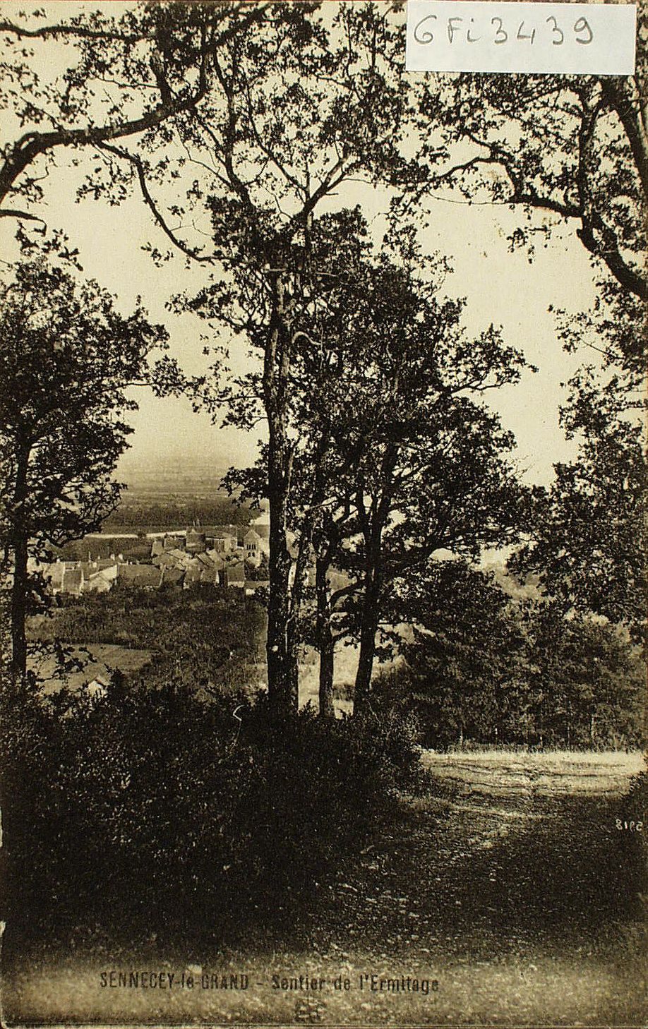 Sennecey-le-Grand. Sentier de l'Ermitage.