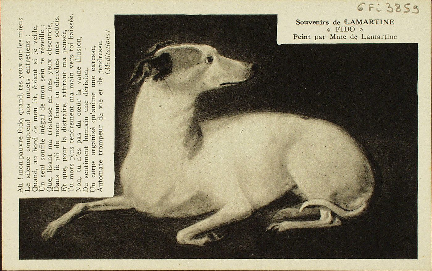 Souvenirs de Lamartine "Fido" peint par Mme de Lamartine.