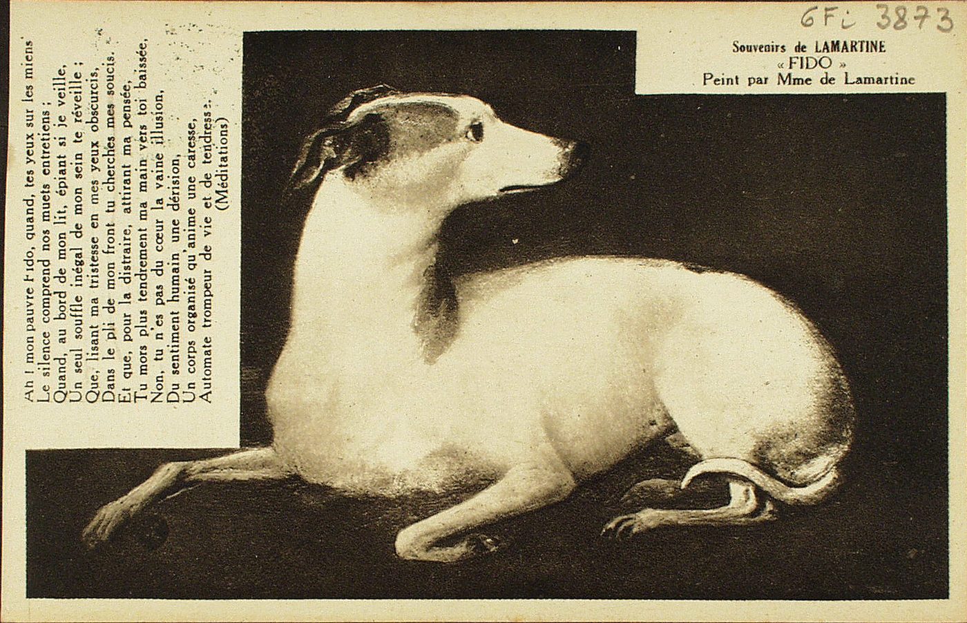 Souvenirs de Lamartine. "Fido". Peint par Mme de Lamartine.