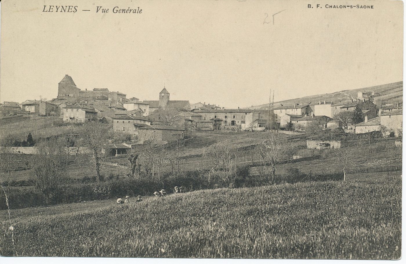 Leynes. Vue générale.