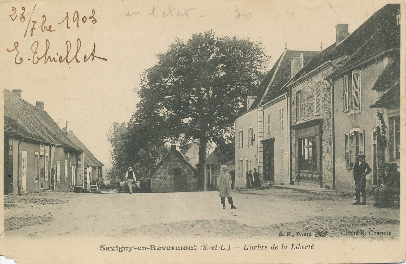 Savigny-en-Revermont. L'arbre de la liberté.