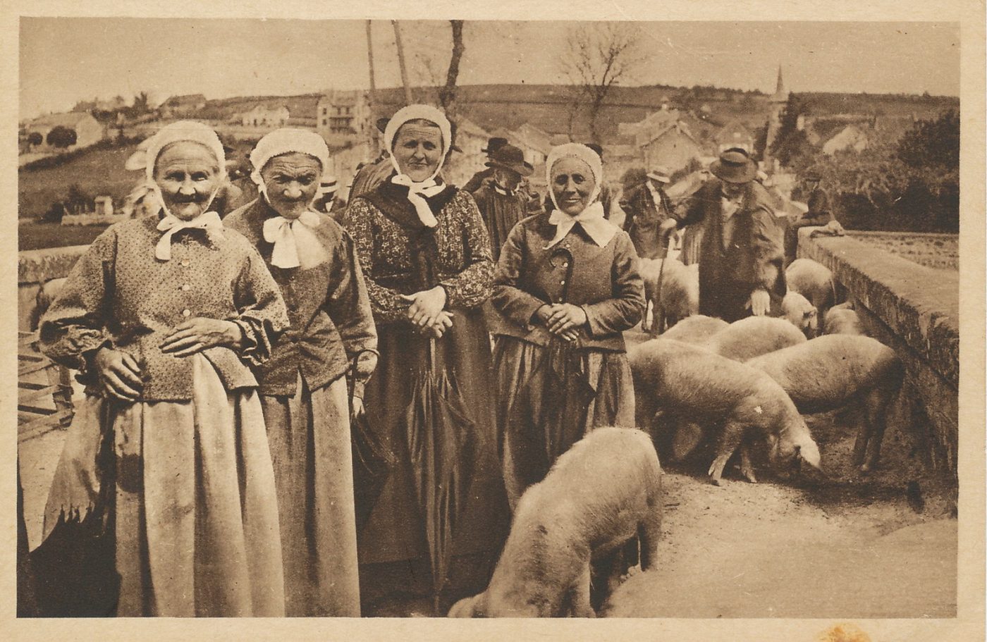 En Morvan. Nos braves morvandelles. A la foire aux cochons.