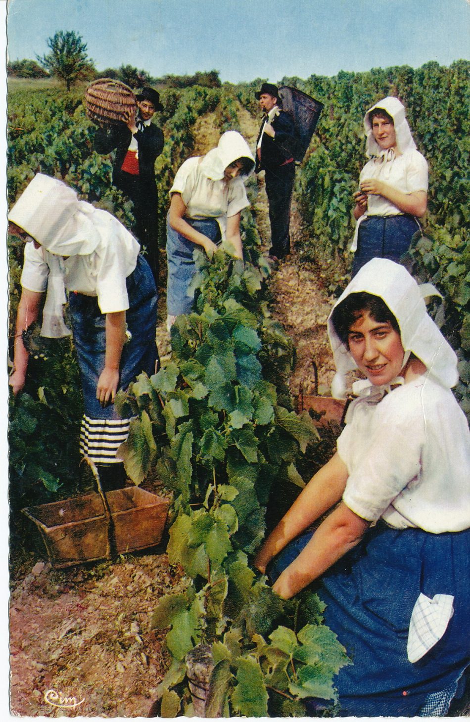 Bourgogne. Groupe folklorique "la Côte Chalonnaise".