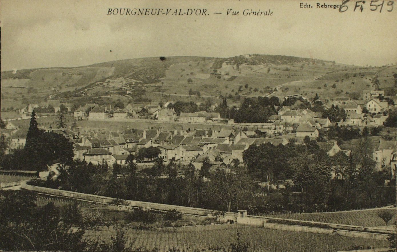 Bourgneuf-Val-d'Or. Vue générale.