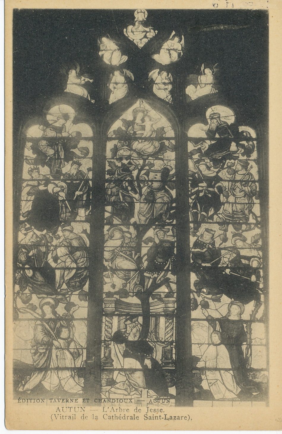 Autun. L'arbre de Jessé (vitrail de la cathédrale Saint-Lazare).