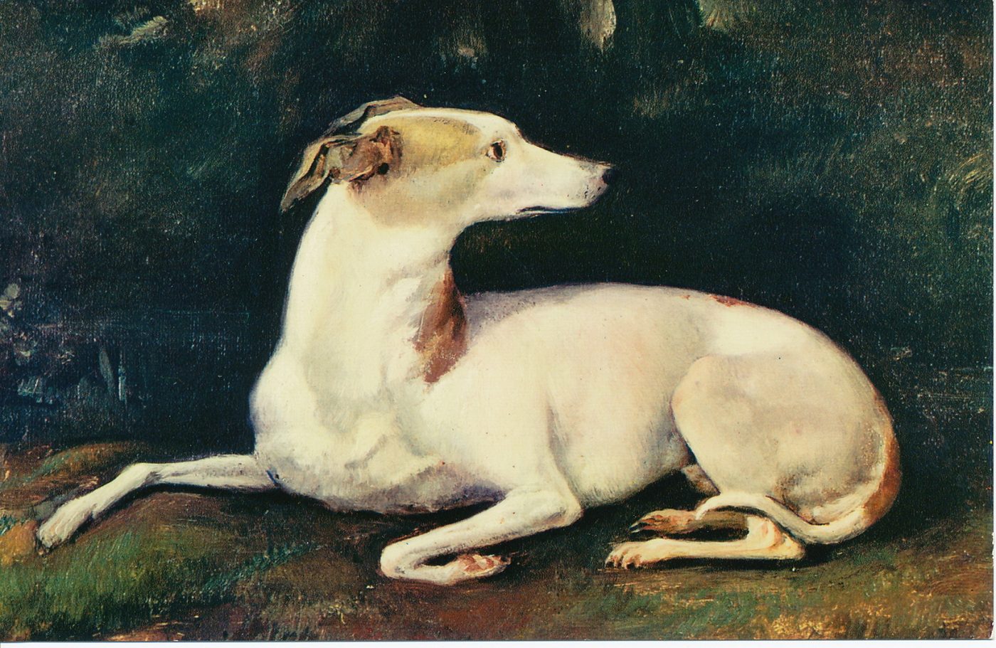 Souvenirs de Lamartine. Saint-Point. "Fido" peint par Mme de Lamartine. "Ah ! mon pauvre Fido, quand, tes yeux sur les miens ; Le silence comprend nos muets entretiens ; Quand, au bord de mon lit, épiant si je veille ; Un seul souffle inégal de mon sein te réveille ; Que, lisant ma tristesse en mes yeux obscurcis ; Dans le pli de mon front tu cherches mes soucis ; Et que, pour la distraire, attirant ma pensée ; Tu mords plus tendrement ma main vers toi baissée ; Non, tu n'es pas du coeur la vaine illusion ; Du sentiment humain une dérision ; Un corps organisé qu'anime une caresse ; Automate trompeur de vie et de tendresse."