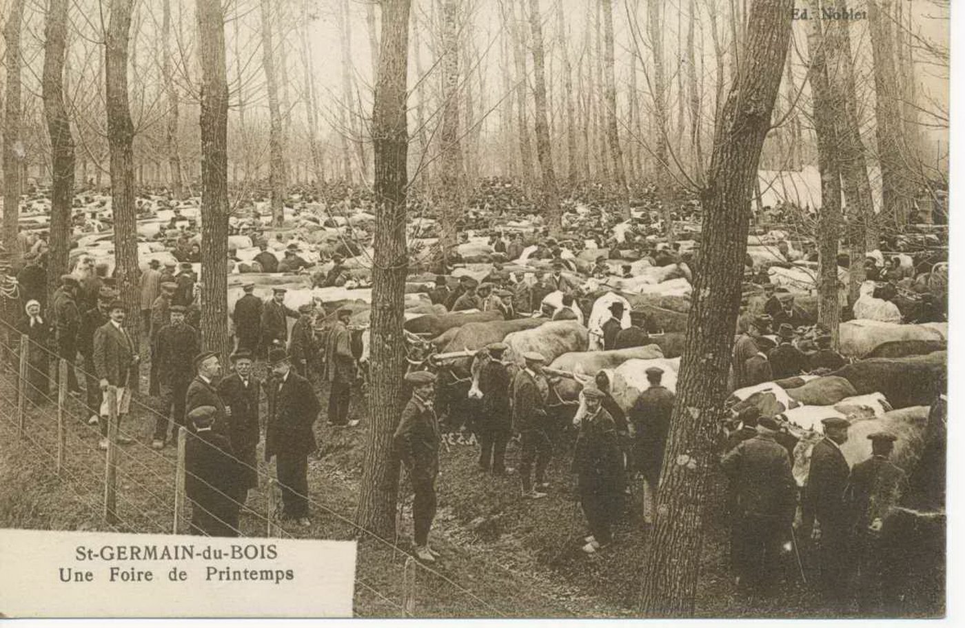 Saint-Germain-du-Bois. Une foire de printemps.