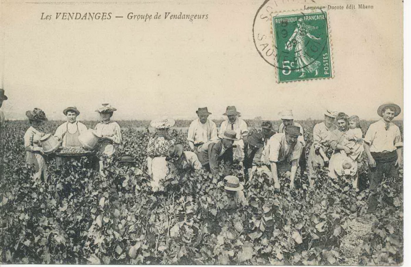 Les vendanges. Groupe de vendangeurs.