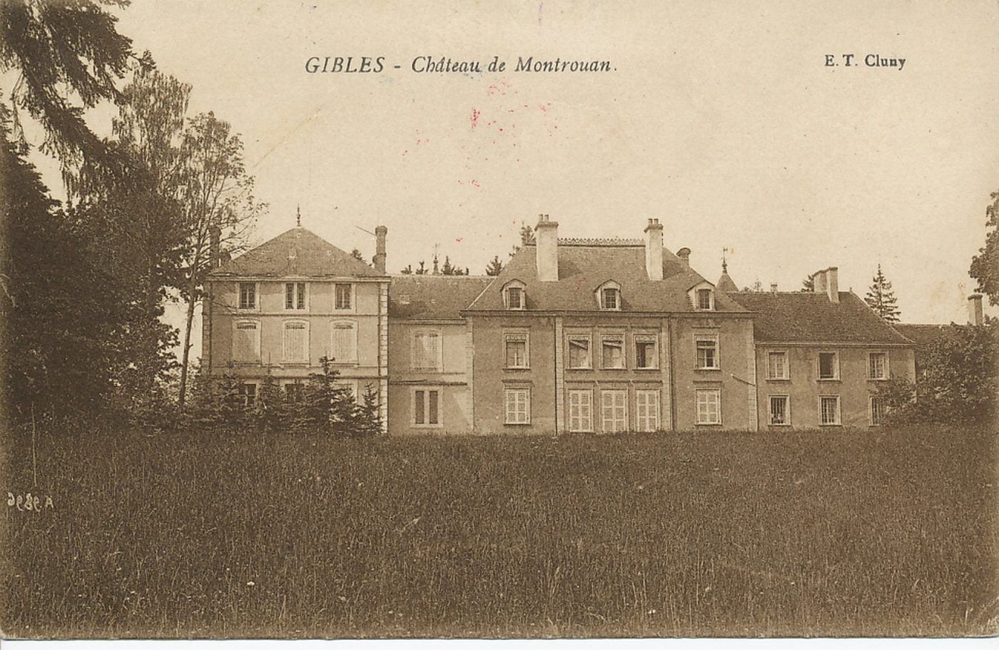 Gibles. Château de Montrouan.