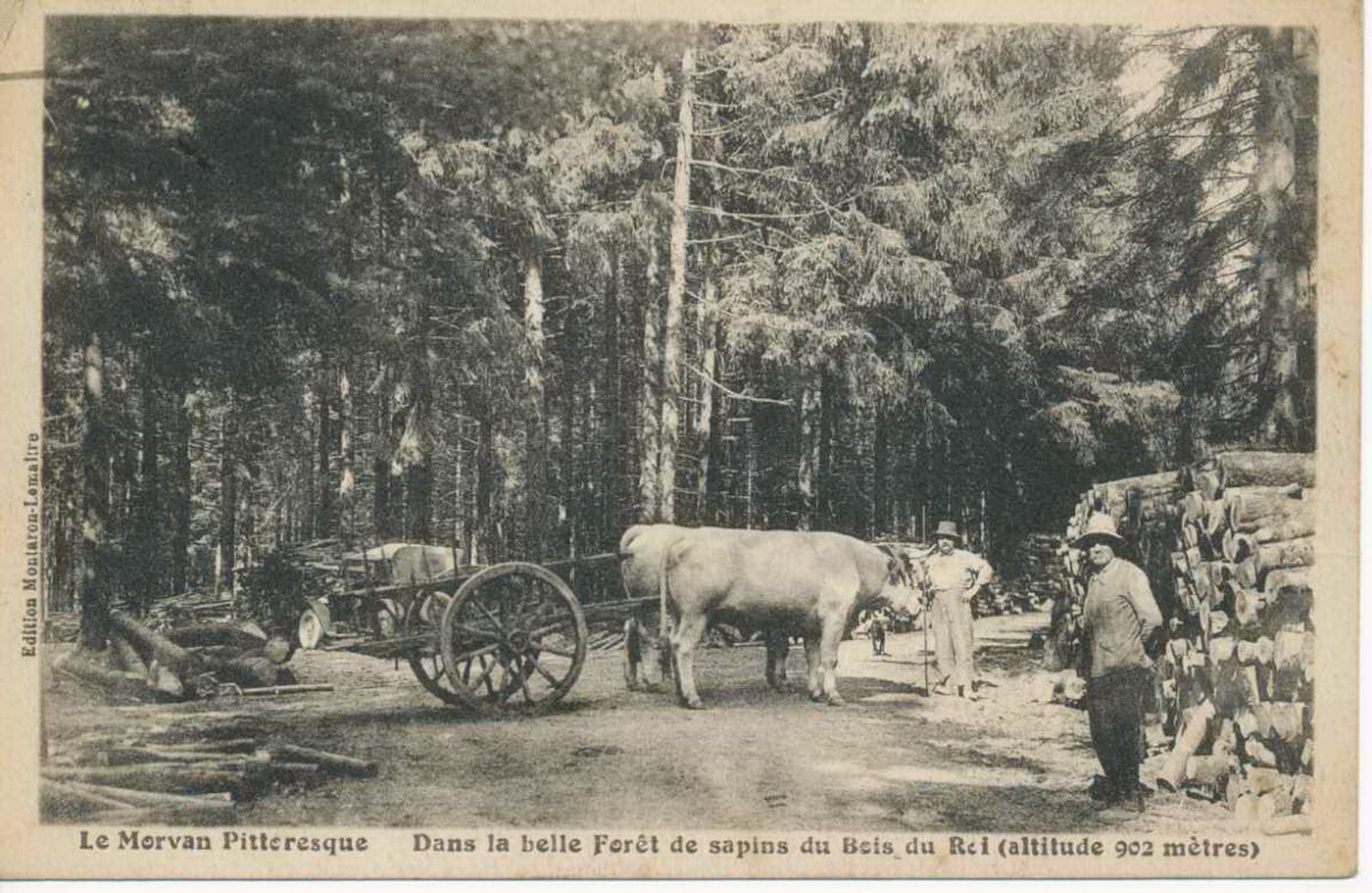 Le Morvan pittoresque. Dans la belle forêt du bois du Roi (altitude 902 mètres).