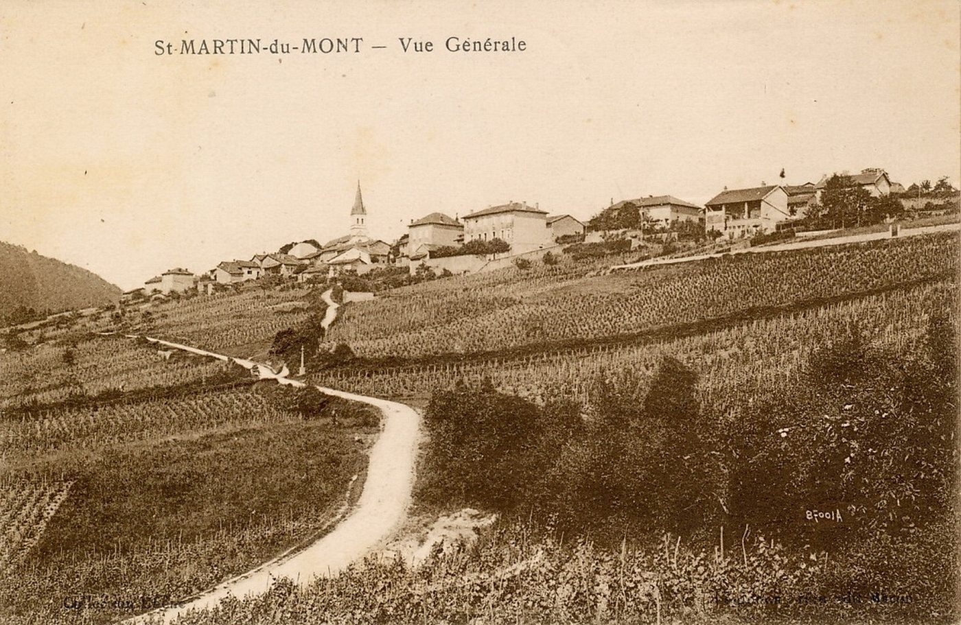 Saint-Martin-du-Mont. Vue générale.