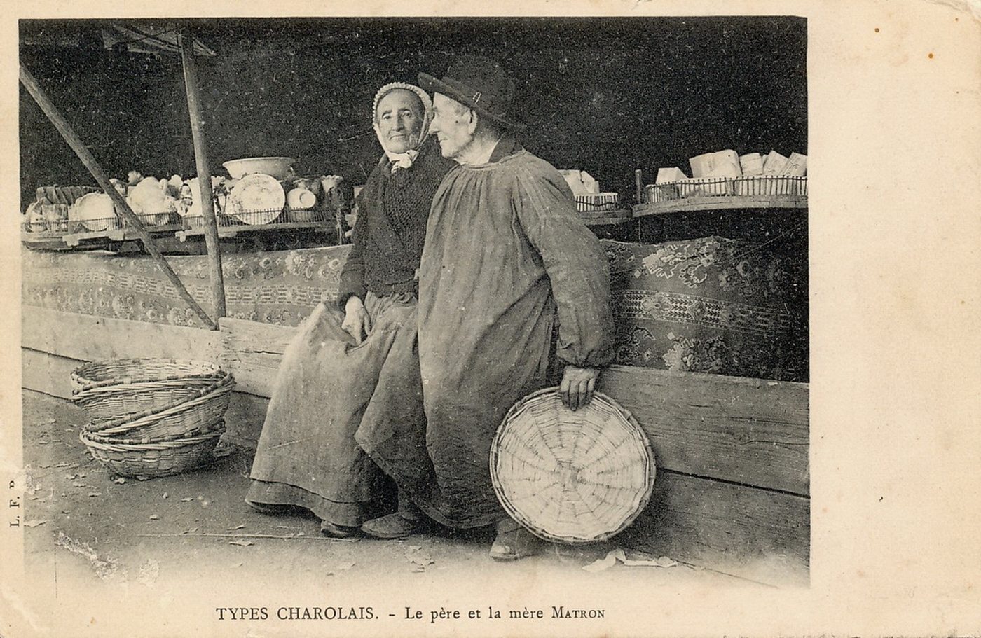 Types charolais. Le père et la mère Matron.