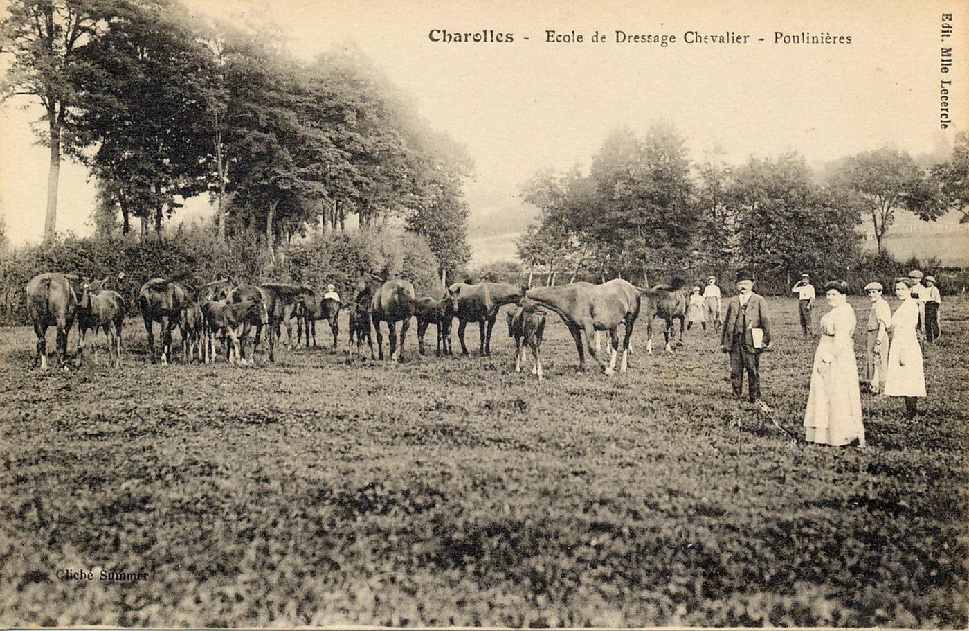 Charolles. Ecole de dressage poulinières.
