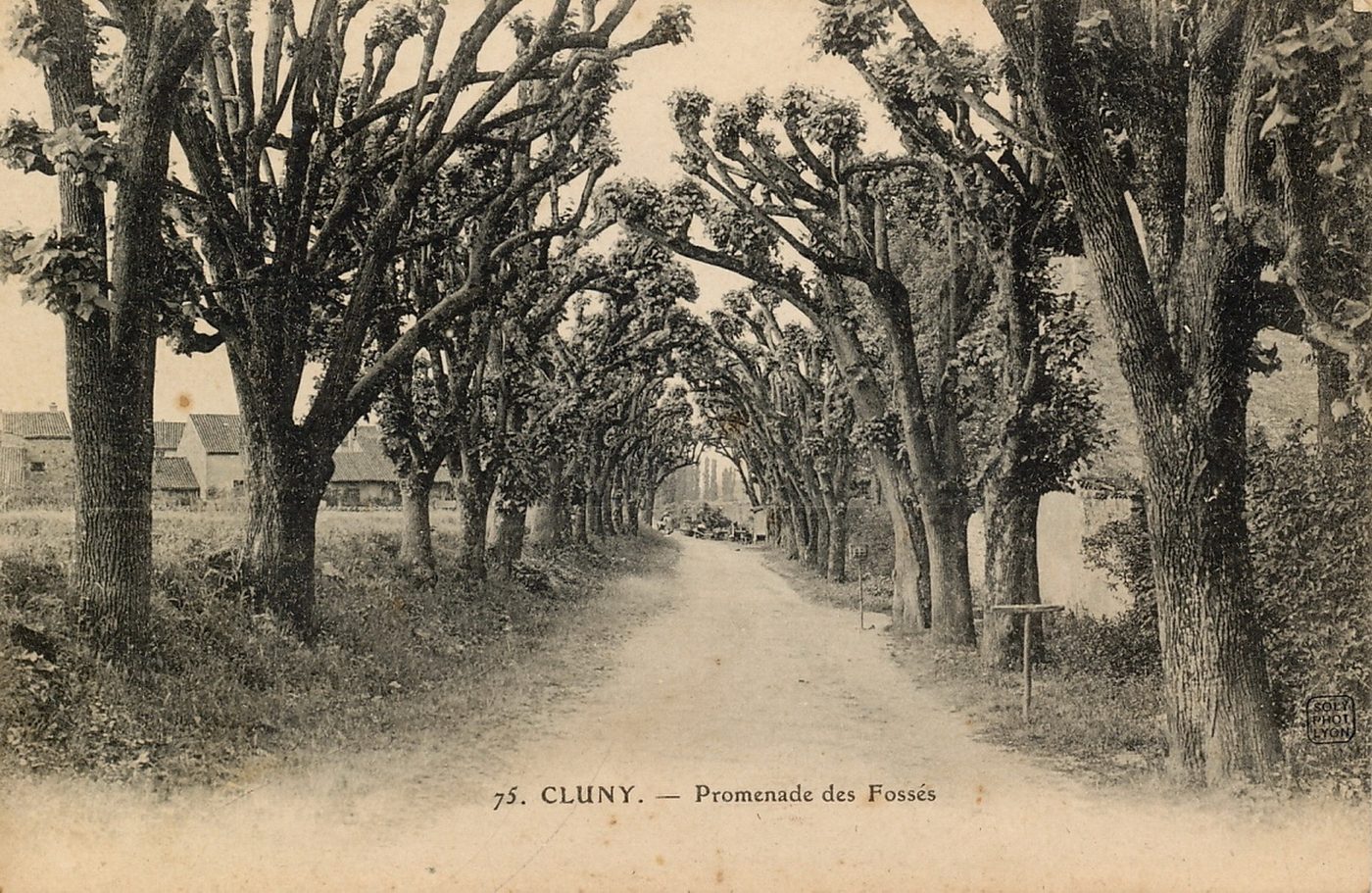 Cluny. Promenade des fossés.