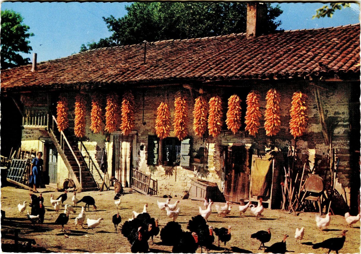 Ferme bressane.