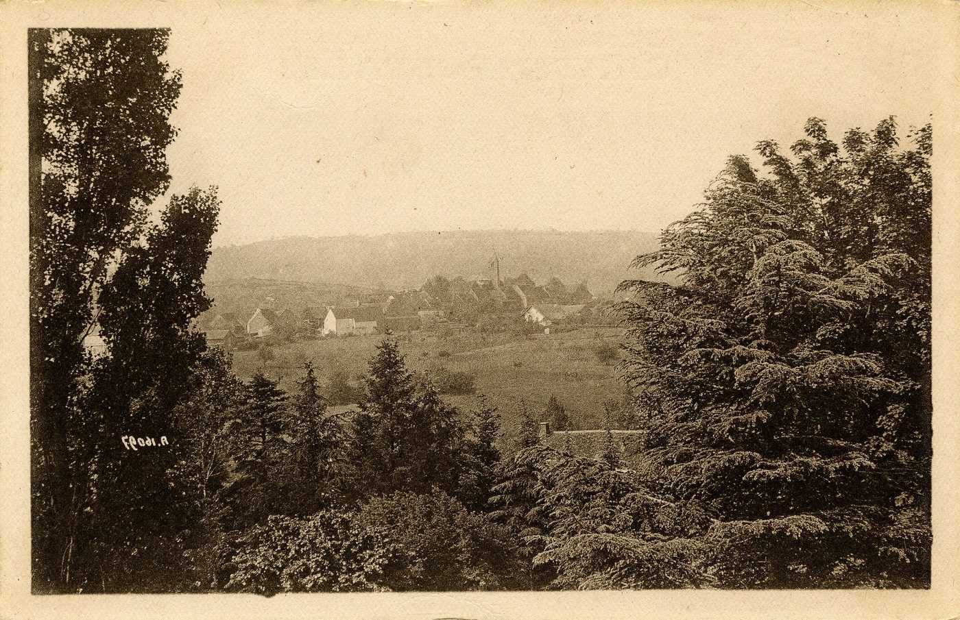 Saules près de Saint-Boil.