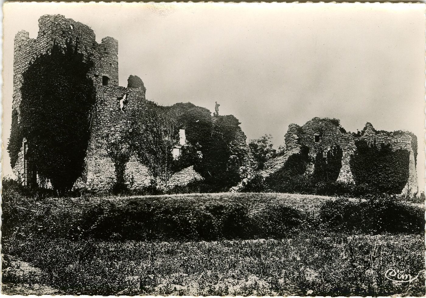 La Bourgogne historique et monumentale, Grury. Ruines du château féodal de Folin. Il appartenait en 1343, à Huguenin de Blanot ; en 1740, à Philippe de Bourbon ; en 1642, à Hector de Montenard : puis en 1672, aux de Dyo, marquis de Montperroux. Il fut également pris et brûlé en 1475 par l'armée du roy et ravagé par les écorcheurs. Assis sur les fondations d'une construction romaine, ce château était défendu par cinq tours et un rempart de dix mètres de hauteur.